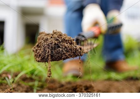 Man Diging Holes A Shovel For Planting Juniper Plants In The Yard. Seasonal Works In The Garden. Lan