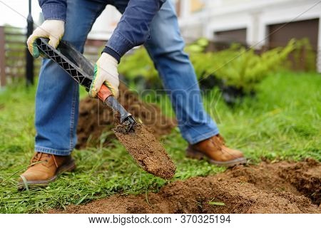 Man Diging Holes A Shovel For Planting Juniper Plants In The Yard. Seasonal Works In The Garden. Lan