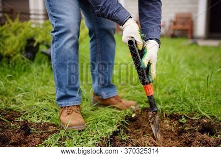 Man Diging Holes A Shovel For Planting Juniper Plants In The Yard. Seasonal Works In The Garden. Lan