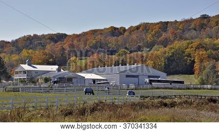 Milton, Ontario / Canada - 10/19/2008: View Of A Horse Farm At Niagara Escarpment In Autumn, Milton,