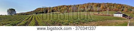 Milton, Ontario / Canada - 10/19/2008: Panoramic View Of A Farm Field At Niagara Escarpment In Autum