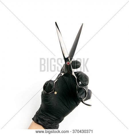 Gloved Hand Holding A Black Scisors On An Isolated White Background.