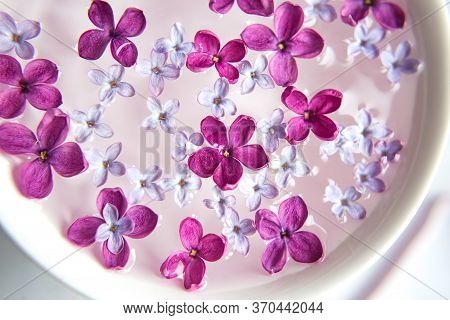 Five-pointed Lilac Flower Among Lilac Flowers In A Cup With Water. Spa Ritual. Lilac Branch With A F