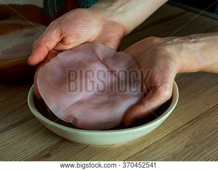 Preparing Tea Mushroom Drink. Hands Holding Scoby. Kombucha For Good Balance Digestive System.