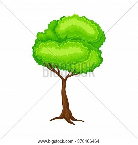 Green Tree With Brown Trunk And Leafy Crown As Forest Element Vector Illustration
