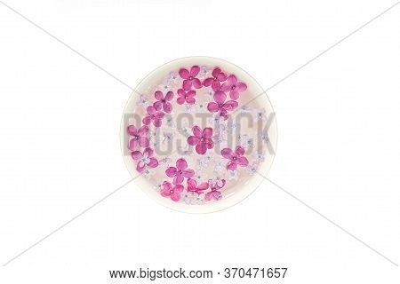 Five-pointed Lilac Flower Among Lilac Flowers In A Cup With Water. Spa Ritual. Lilac Branch With A F