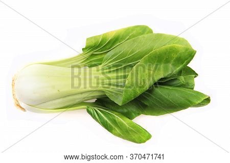 Pac-choi Traditional Chinese Vegetable Isolated