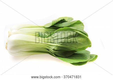 Pac-choi Traditional Chinese Vegetable Isolated
