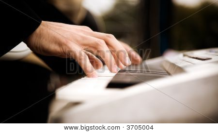 Rock a Roll živě