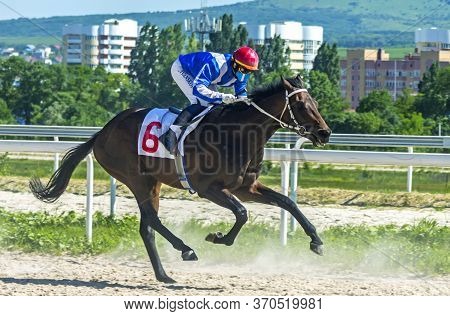Pyatigorsk,russia - June 7,2020:jockey Ivanskoy Alexander On Brown Stallion Optimist Will Finish The