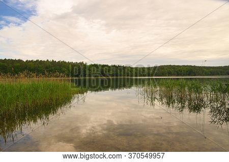 Beautiful Little Forest Lake Near Templin In The Uckermark