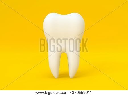 Dental Model Of Premolar Tooth On Yellow Background. Concept Of Dental Examination Teeth, Dental Hea