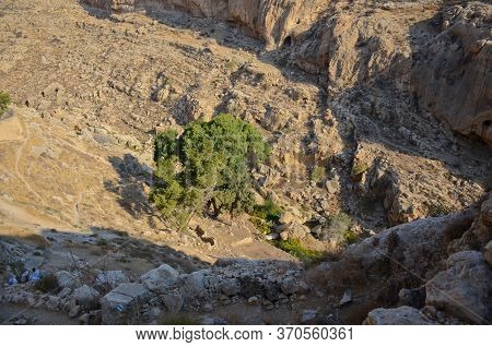 Wadi Kelt Or Nahal Prat, In The Judean Desert, Israel. Early Autumn In A Nature Reserve. Selective F