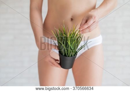 A Woman In White Panties Holds A Pot With A Bushy Plant On A Background Of Light Bricks. Bikini Zone