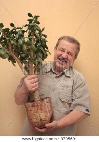 fröhlich ältere Menschen der Mann mit einem Blumentopf