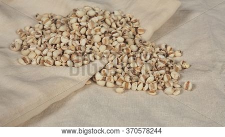 Job's Tears, Also Known As Adlay And Coix On Calico Background. Popular In Asian Cultures As A Food 