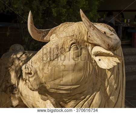 Sant Matin Ticajete, Mexico - 2019-11-26 - Wooden Bull Lifesize Rough Cut And Waiting For Paint.