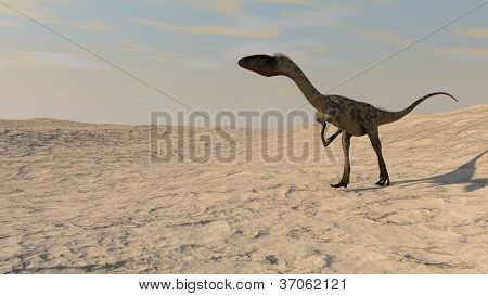 Coelophysis ausgeführt
