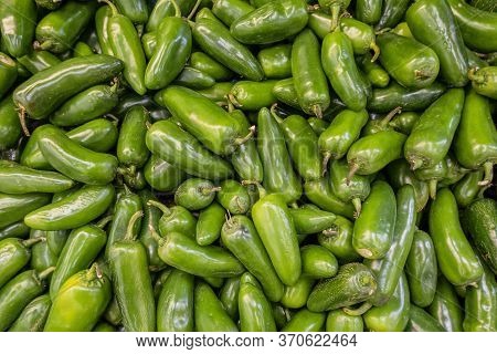 Green Pablano Chilis In A Pile Ready For Sale.