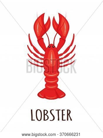 Cartoon Lobster Isolated, Seafood Product Design, Vector Illustration In Cartoon Style, Red Lobster 