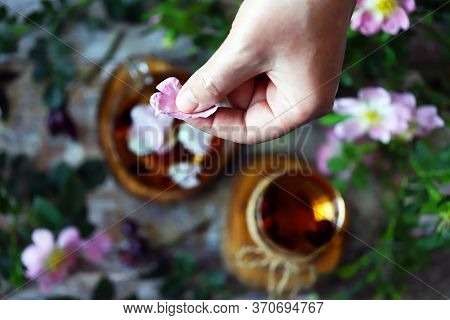Selective Focus. Hand Puts Rose Petals In A Cup Of Tea. Tea With Rose Petals. Rosehip Flowers And Br