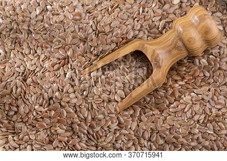 Linseed Organic Seeds - Linum Usitatissimum. Text Space