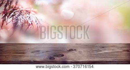 Blurred Park Landscape With Pink Bokeh And Empty Wooden Table. Horizontal Background With Red Maple 