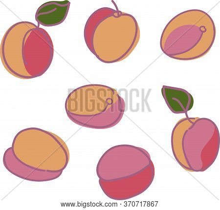 Vector Set With Apricots. Composition Of Ripe Fruits. Design Concept Organic Food.