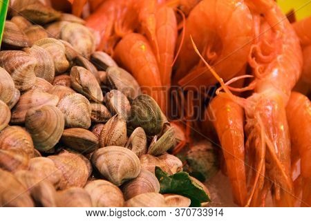 Raw Fresh Clams Vongole Seashells And Shrimps Background Close-up At Market