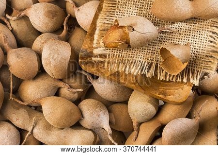 Tamarind Tropical Fruit - Tamarindus Indica. Top View