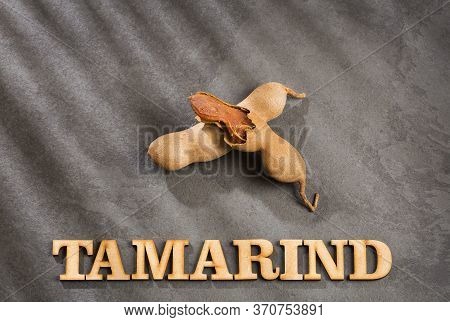 Tamarind Tropical Fruit - Tamarindus Indica. Text Space
