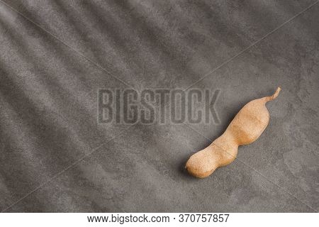 Tamarind Tropical Fruit - Tamarindus Indica. Text Space