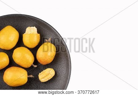 Spondias Purpurea - Plum, Jobo, Xocote, Plum Of Huesito, Jocote, Cocota