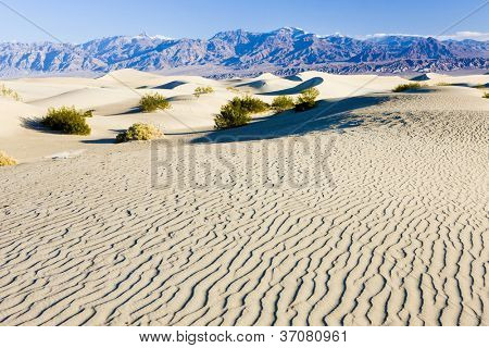 Dune di sabbia di Stovepipe Wells, Death Valley National Park, California, USA