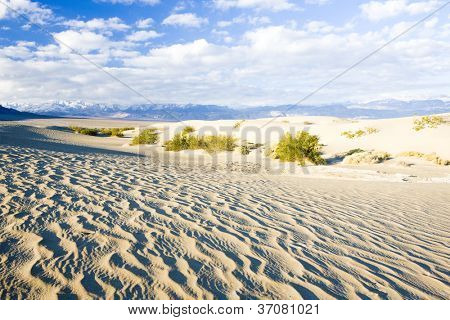 Dune di sabbia di Stovepipe Wells, Death Valley National Park, California, USA