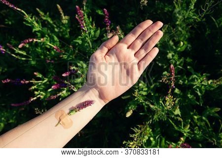 Flower Glued With Band-aid To Hand. Concept Of Mental Health, Medical Care For Different Types Of Me