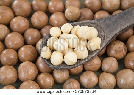 Macadamia Nuts - Macadamia Integrifolia. Text Space