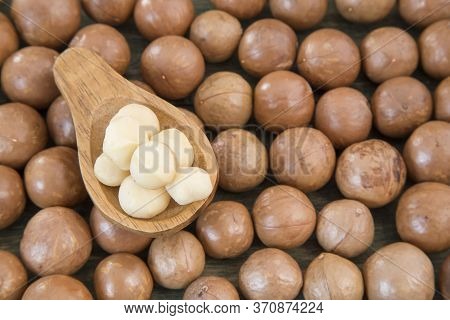 Macadamia Nuts - Macadamia Integrifolia. Wood Background