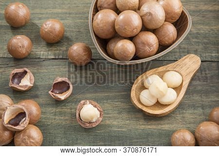 Macadamia Nuts - Macadamia Integrifolia. Text Space