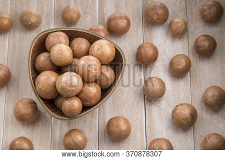 Macadamia Nuts - Macadamia Integrifolia. Wood Background