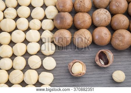 Macadamia Nuts - Macadamia Integrifolia. Wood Background