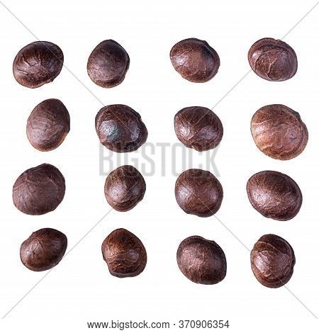 Legumes Of Sacha Inchi Or Inca Peanut. Dried Sacha Inchi Nuts Isolated Over White Background.