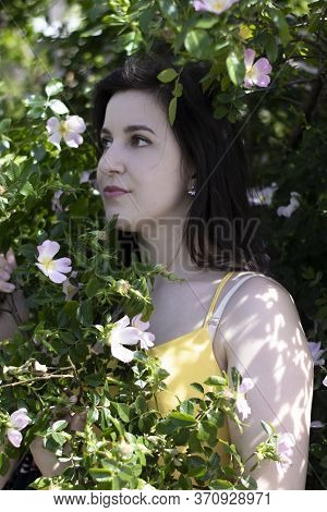 Attractive Young Brunette Woman In Yellow T-shirt. In A Bush Full Of Floweers. Copy Space.