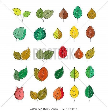 Vector Color Set Of Leaves In The Doodle Style For Design And Decoration Of Thematic Illustrations,