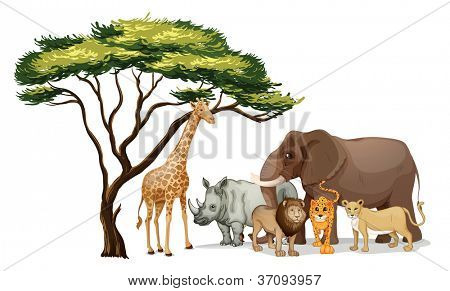 Abbildung einer Gruppe von afrikanische Tiere