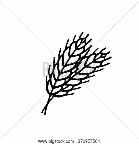 Wheat Doodle Line Icon, Vector Color Illustration