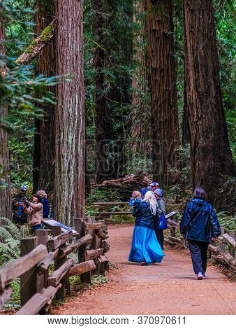 San Francisco, California - November 12, 2019: Muir Woods National Monument Is A United States Natio