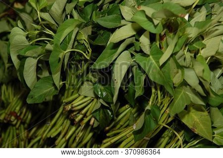 Water Spinach Kang Kong Green Vegetable Selling In Public Market