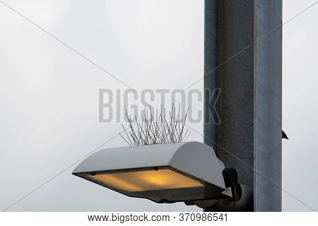 A Picture Of The Steel Bird-proof Spikes.     Vancouver Bc Canada