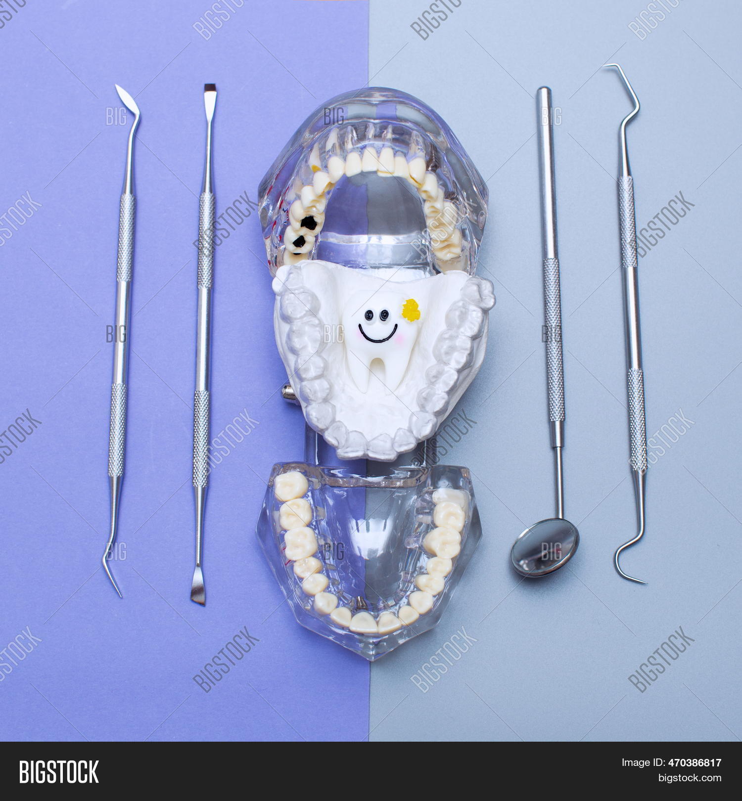 Dental Tools Model Image & Photo (Free Trial) | Bigstock